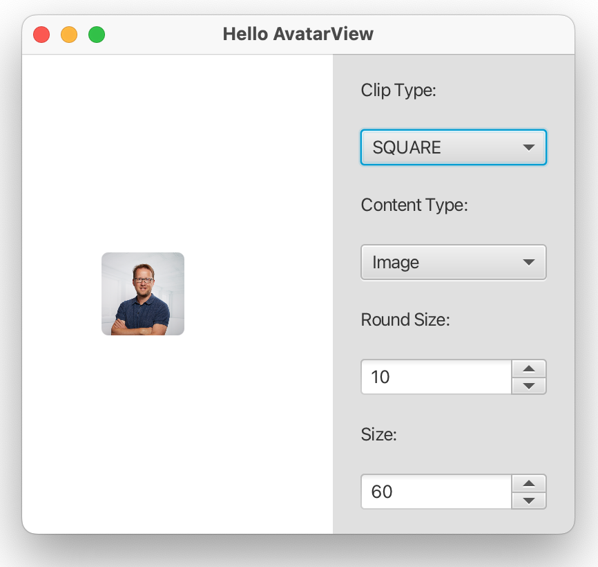 AvatarView screenshot